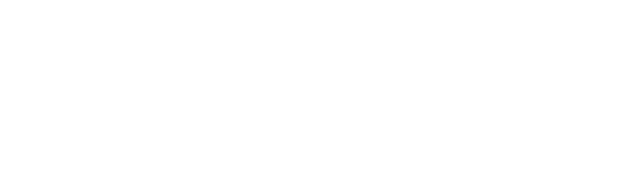 Logo New Birikids